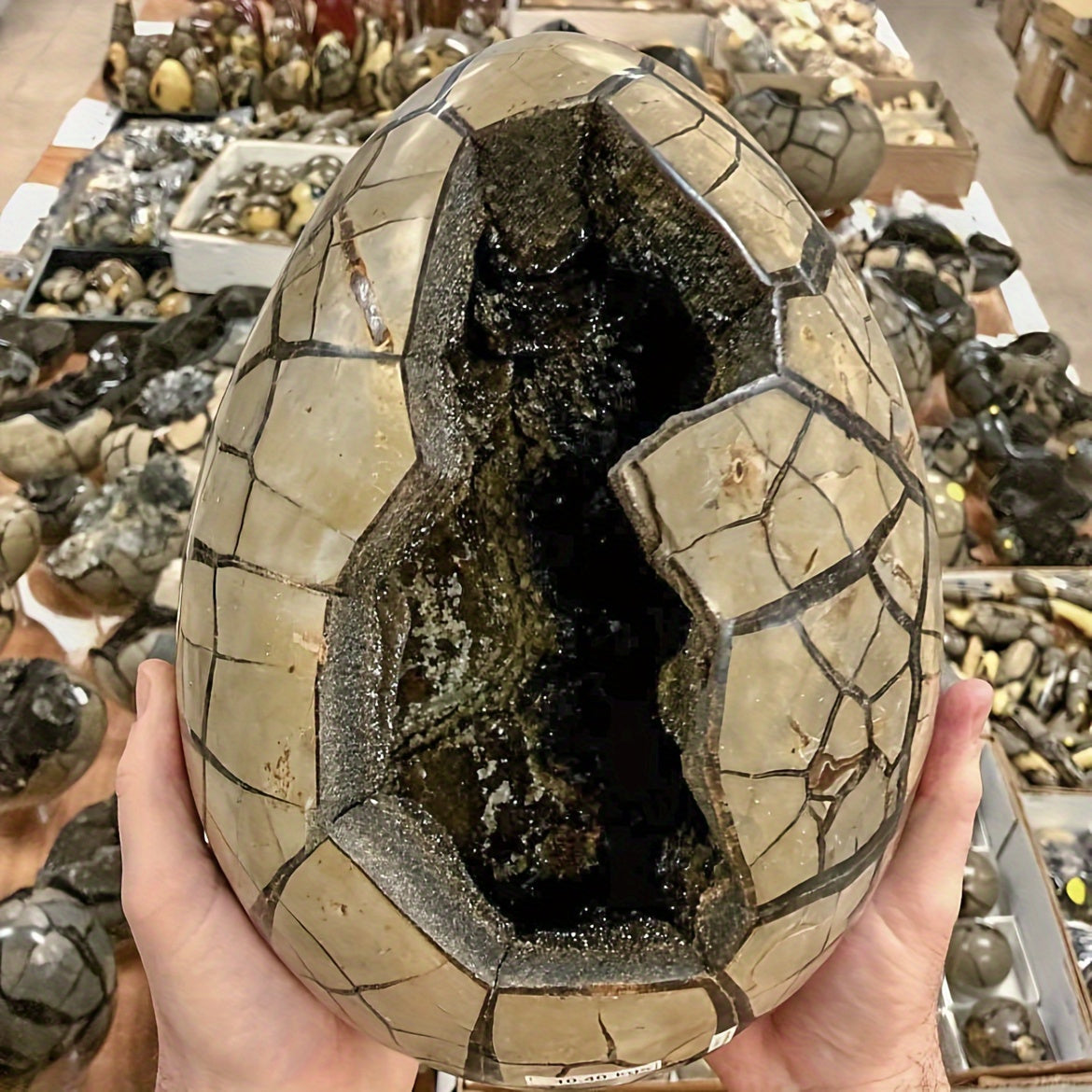 1pc Natural High Quality Turtle Back Stone Dragon Egg Statue, Home Decoration Statue Decoration, Eliminate Negative Energy And Stress, Purify, Holiday Gift For Parents, DIY, Holiday Gift, Crystal Crafts, Classmates Graduation