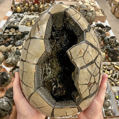 1pc Natural High Quality Turtle Back Stone Dragon Egg Statue, Home Decoration Statue Decoration, Eliminate Negative Energy And Stress, Purify, Holiday Gift For Parents, DIY, Holiday Gift, Crystal Crafts, Classmates Graduation