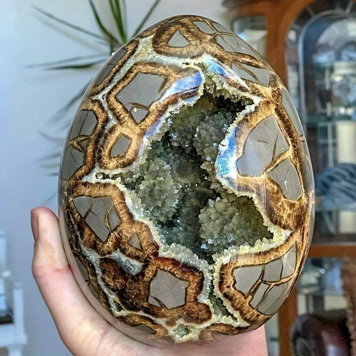 1pc Natural High Quality Turtle Back Stone Dragon Egg Statue, Home Decoration Statue Decoration, Eliminate Negative Energy And Stress, Purify, Holiday Gift For Parents, DIY, Holiday Gift, Crystal Crafts, Classmates Graduation