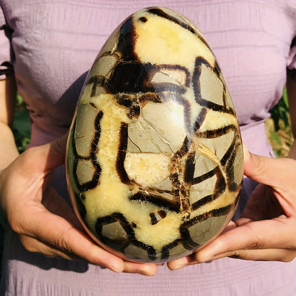 1pc Natural High Quality Turtle Back Stone Dragon Egg Statue, Home Decoration Statue Decoration, Eliminate Negative Energy And Stress, Purify, Holiday Gift For Parents, DIY, Holiday Gift, Crystal Crafts, Classmates Graduation
